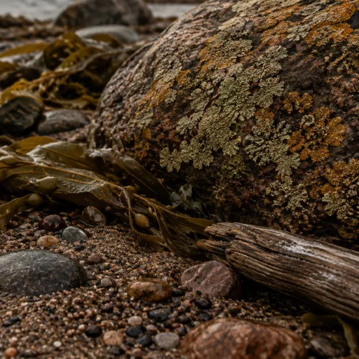 Sailing into the high Arctic: an elegant guide to a cruise to Svalbard