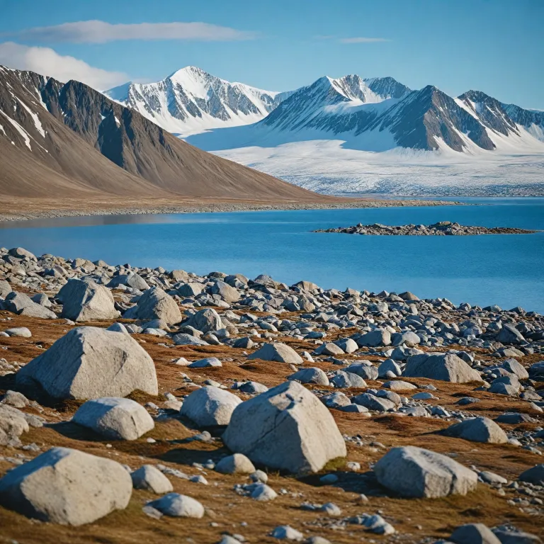 Expert guidance for birding enthusiasts in Svalbard: local birding guides and Arctic avifauna