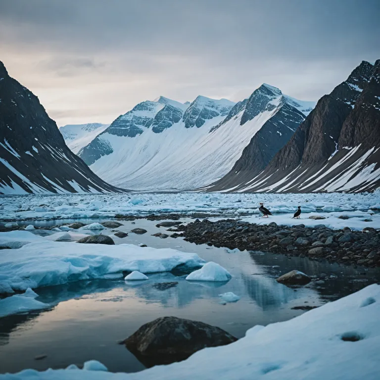 Svalbard birding: exploring Arctic avifauna in the high north