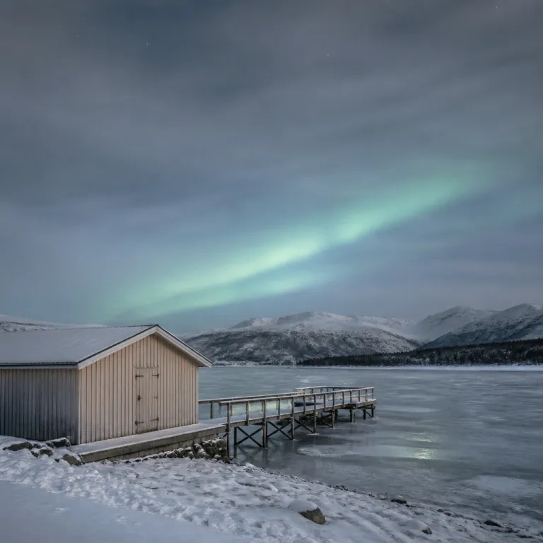 How long do northern lights last during an Arctic night sky show