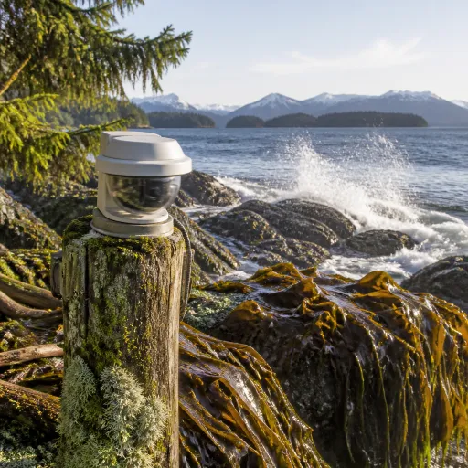 How Sitka Alaska cams bring the Arctic edge of the Pacific into focus